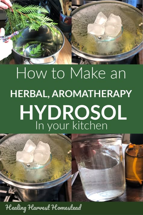 How to Make a Homemade Herbal Aromatic Hydrosol (Flower Waters) Without a Still, Right in Your Kitchen — All Posts Healing Harvest Homestead How To Make Herbal Hydrosols, How To Make Hydrosol, Distilling Water At Home, Diy Hydrosol, Distilling Herbs, How To Distill Essential Oils, Hydrosol Recipes, Cooking With Turmeric, Herbal Tinctures