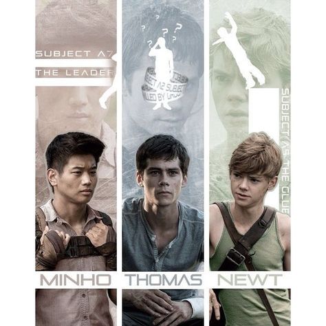 0 Maze Runer, Maze Runner Thomas, Maze Runner The Scorch, Maze Runner Trilogy, Maze Runner Cast, Dylan Obrian, Maze Runner Movie, Newt Maze Runner, The Scorch Trials