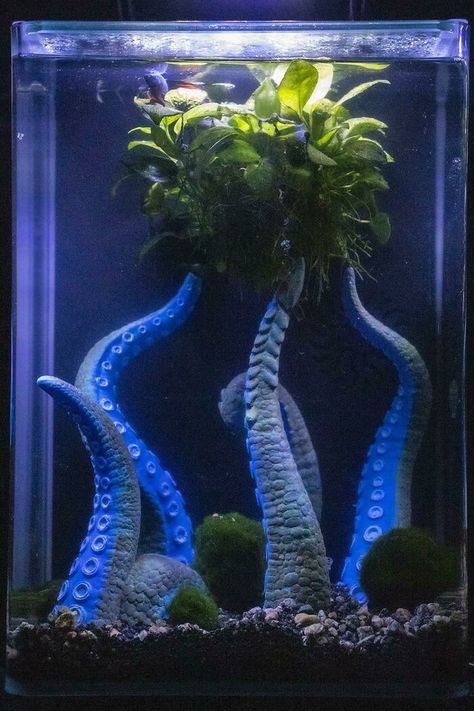 Unusual Fish Tanks, Beta Fish Tank Ideas Diy, Crystal Betta Tank, Beautiful Fish Tanks Ideas, Aquarium Theme Ideas, Aquarium Fish Tank Ideas, Betta Aquarium Ideas Tanks, Aquarium Tank Ideas, Fish Tank Themes Ideas Creative