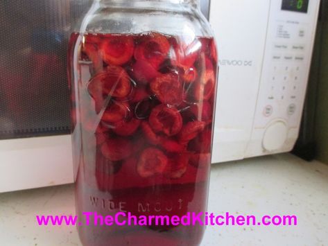 Homemade Liqueur Recipes, Brandy Recipe, Cherry Whiskey, Vanilla Liqueur, Cherry Vodka, Cooking Herbs, Homemade Liquor, Liquor Recipes, Cherry Vanilla