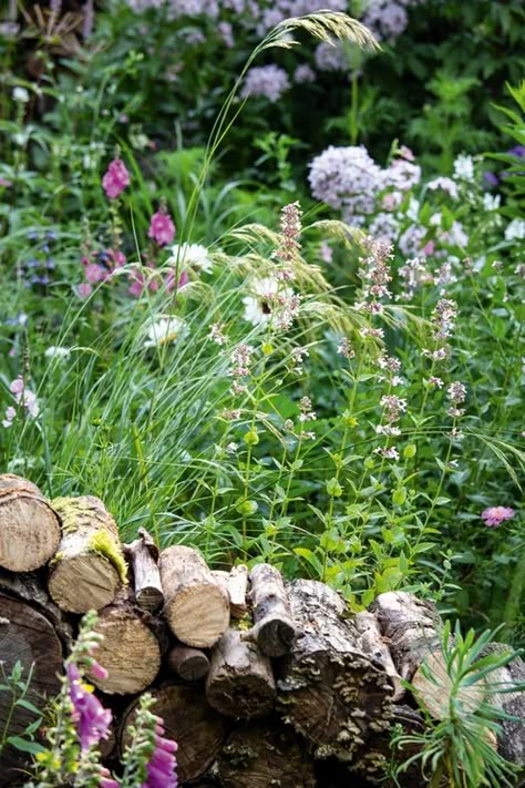 Wildlife Garden Ideas, Nigel Dunnett, Social Garden, Irish Farm, Garden Meditation, Gravel Gardens, Valley Cottage, Planting Combinations, Piet Oudolf