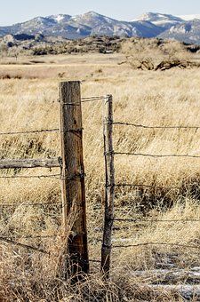 Karoo Landscape, Wave Art Painting, Country Fences, Farm Gate, Time Travelers, Old Fences, Building A Fence, Farm Fence, Pub Signs