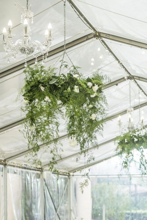 11 Stunning Greenery Wedding Ideas to Have a Budget Friendly Wedding---greenery chandeliers for greenhouse wedding Hanging Greenery Installation Wedding, Green Ceiling Wedding Hanging Flowers, Foliage Chandelier Wedding, Hanging Arrangements Wedding, Hanging Flower Baskets Wedding, Foliage Ceiling Installation, Hanging Flower Installation Wedding, Hanging Foliage Wedding, Hanging Plants Wedding