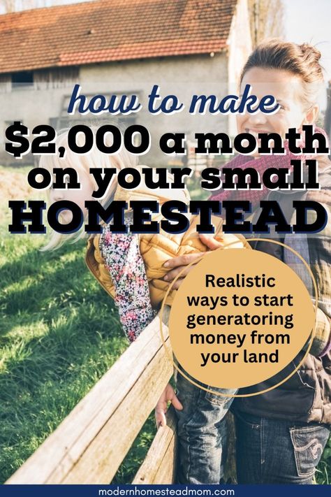 Ways To Make Money Making Money Off Your Land, How To Start A Small Farm, Making Money From Homestead, Homestead Money Making Ideas, Homestead Business Ideas, Small Homestead Ideas, Profitable Homestead, Sell At Farmers Market, Micro Homesteading