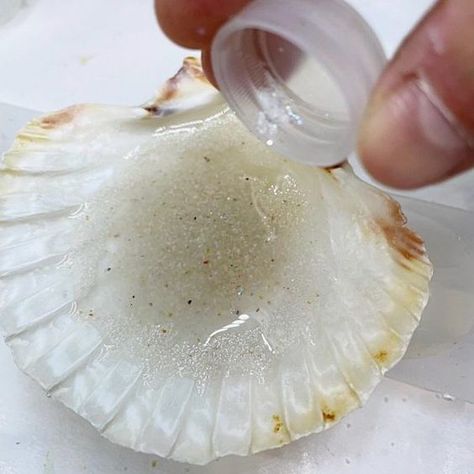 Conch Shell Decor Ideas, Resin Shell Crafts, How To Clean Sea Shells From The Beach, Resin Shell Art, Resin Seashell Crafts, Epoxy Resin Crafts Diy, Conch Shell Decor, Resin Shells, Cleaning Sea Shells