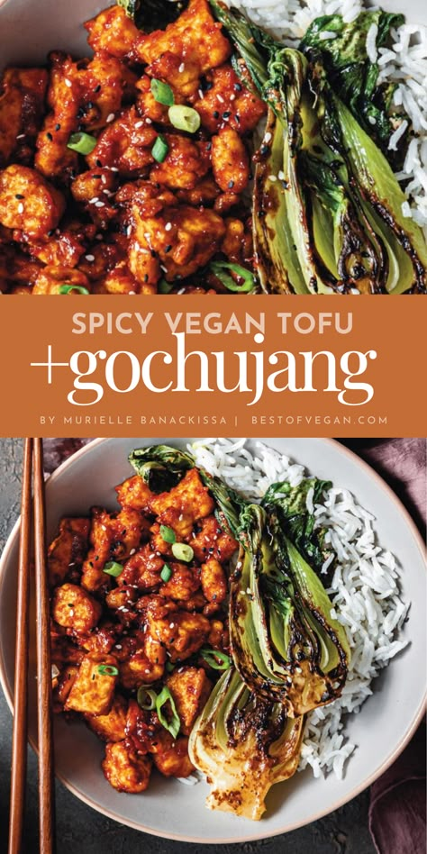 This vegan Spicy Gochujang Tofu recipe from Murielle Banackissa’s cookbook is the perfect addition to all your favorite savory dishes. Plant-based, flavorful and high in protein. #HighProtein #WeeknightDinner #VeganRecipes #EasyRecipes Tofu Recipes Snacks, Tofu Recipes Spicy, Asian Vegan Dinner, Vegan Korean Beef, Healthy Tofu Meal Prep, Vegan Meals With Tofu, Healthy Dinner Recipe Vegetarian, Chili Tofu Recipe, Spicy Korean Tofu