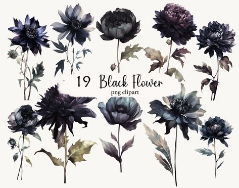 Witchy Flowers, Gothic Illustration, Fantasy Png, Gothic Roses, Minimal Watercolor, Halloween Clip Art, Gothic Flowers, Gothic Floral, Halloween Clips