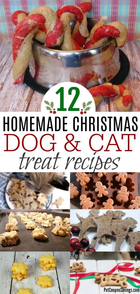 Homemade Dog Christmas Gifts, Cat And Dog Treats Homemade, Cute Dog Treats Homemade, Dog And Cat Treats Homemade, Dog And Cat Treat Recipes, Cat Treat Recipes Homemade, Dog And Cat Homemade Treats, Christmas Dog Treats Recipe, Christmas Dog Treat Recipes