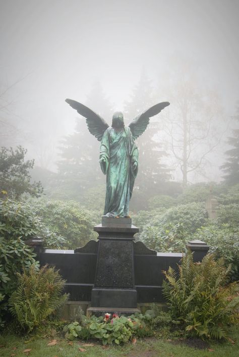 Cemetary Statue, Cemetery Statues, Angel Statue, Angel Images, Oracle Reading, Cemetery Art, Angel Tree, Angel Statues, Arte Obscura