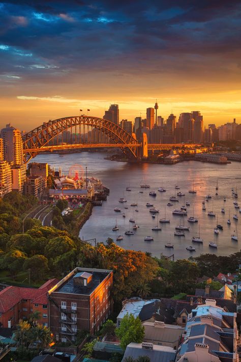 The 10 Places To Get The Best Views In Sydney, Australia Sydney Skyline, Sydney Travel, Australia Vacation, Sydney City, Airlie Beach, Harbour Bridge, Visit Australia, Sydney Harbour, Vacation Places