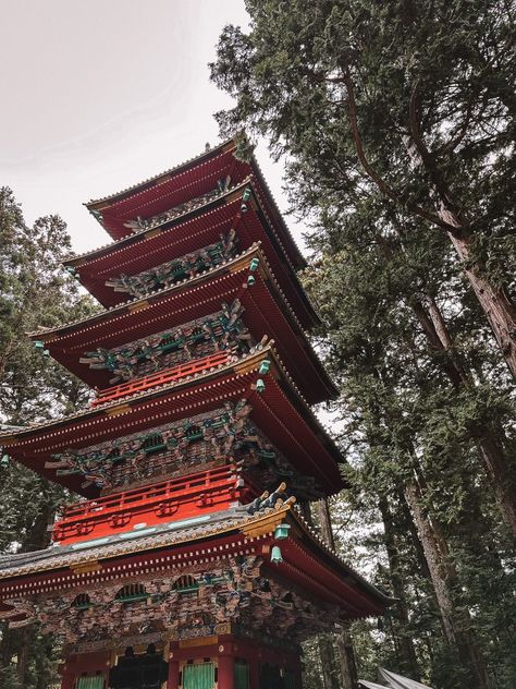 The Complete Travel Guide to Nikko, Japan | The Partying Traveler Nikko Japan, Bus Ride, Nikko, Mount Fuji, Round Trip, Urban Jungle, Unesco World Heritage, Tokyo Japan, Travel Itinerary