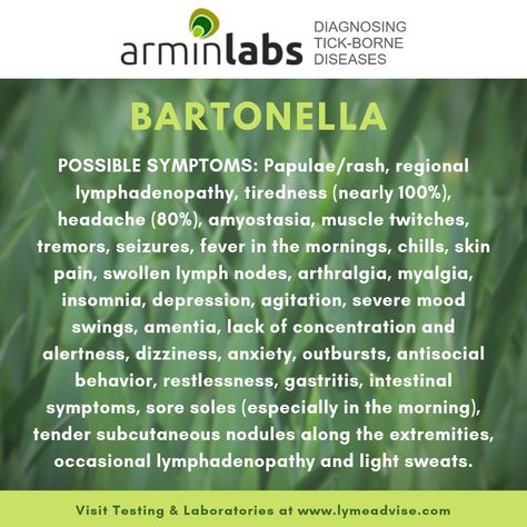 Learn about the symptoms of Bartonella, also known as Cat Scratch Fever, that is a tick-borne co-infection that commonly accompanies Lyme disease. #lyme #bartonella #catscratchfever #tests #lab #arminlabs #lymeadvise #lymedisease #chronicillness #invisibleillness #health #wellness #spoonie #spirochete #lymewarrior #lymedontkillmyvibe #healing Bartonella Symptoms, Nk Cell, Lymes Disease, Clinical Chemistry, Medical Notes, Muscle Twitching, Dont Kill My Vibe, Cat Scratch, Medical Laboratory