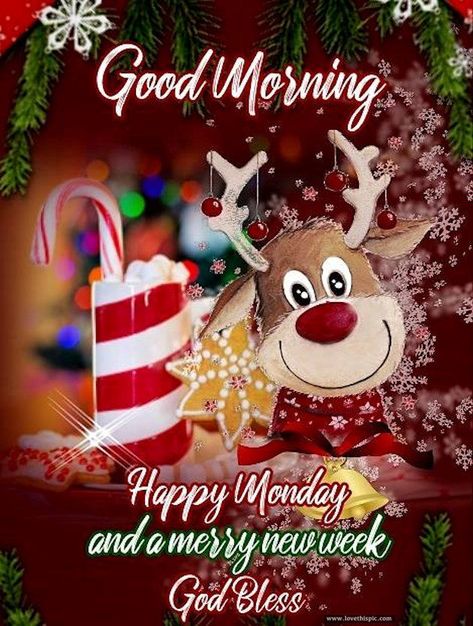 Good Morning Happy Monday Have A Merry New Week Pictures, Photos, and Images for Facebook, Tumblr, Pinterest, and Twitter Christmas Morning Quotes, Christmas Wishing, Monday Greetings, Good Morning Christmas, Good Morning Winter, Happy Monday Morning, Christmas Card Sayings, Good Morning Happy Monday, Holiday Morning