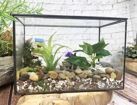 You can make either an open or closed terrarium in a few easy steps. You will need a fish tank or aquarium and ingredients to form a base layer, along with soil, plants, decorations, and a cover if you're using one. Terrariums need water and filtered sunlight to thrive. Fish Tank Plant Terrarium, How To Make A Terrarium, Making A Terrarium, Fish Tank Garden, Terrarium Base, Make A Terrarium, Tank Terrarium, Water Terrarium, Terrarium Tank