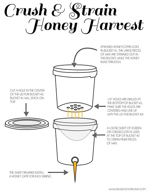 Need to post on Facebook for the newbees! Crush and strain method for honey harvesting, how to! #beekeeping #honey #diy Homestead Plans, Mini Homestead, Honey Harvesting, Backyard Bees, Backyard Beehive, Honey Bees Keeping, Harvesting Honey, Honey Extractor, Bee Hive Plans