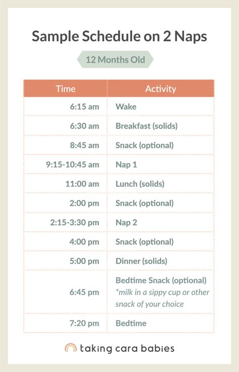 12 Month Nap Schedule, 12 Month Old Schedule, 12 Month Sleep Regression, Baby Naps, Toddler Sleep Schedule, Moms On Call, Baby Sleep Training, Taking Care Of Baby, Baby 12 Months