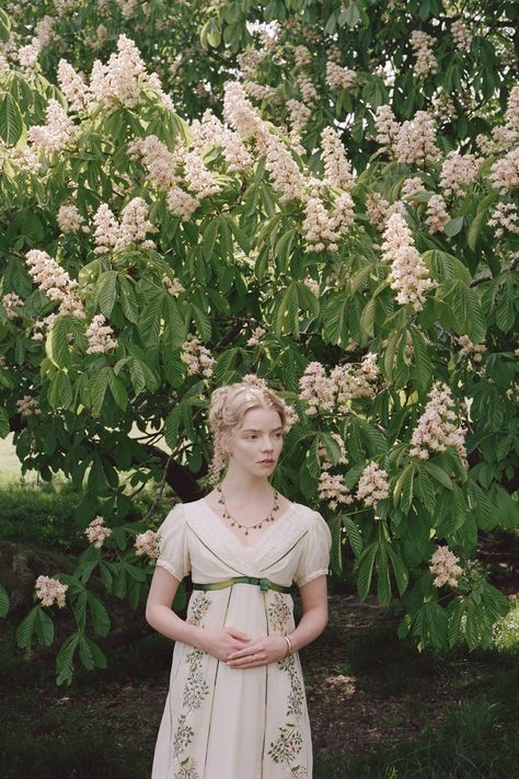 Emma Movie, Regency Aesthetic, Emma. 2020, Emma Woodhouse, Damien Chazelle, Emma Jane Austen, Jane Austen Novels, Regency Era Fashion, Emma Jane