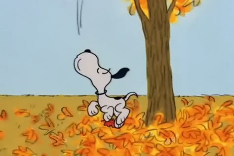 Peanuts animated GIF Snoopy Autumn, Fall Snoopy, Gifs Snoopy, Snoopy Videos, Snoopy Gif, Falling Gif, Great Pumpkin Charlie Brown, Snoopy Cartoon, Peanuts Halloween