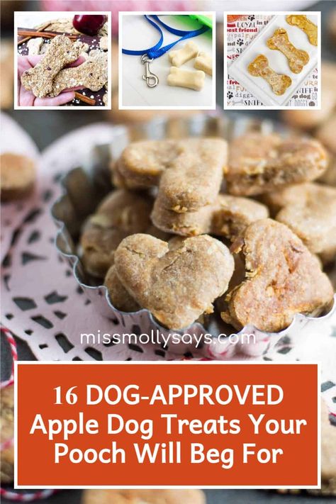 Recipe For Healthy Dog Treats, Dog Treats With Apples, Apple Cinnamon Dog Treats, Apple Banana Dog Treats, Apple Peanut Butter Dog Treats, Apple Dog Treats Homemade Easy, Apple Sauce Dog Treats Recipes, Apple Dog Treats Homemade, Applesauce Dog Treats Homemade