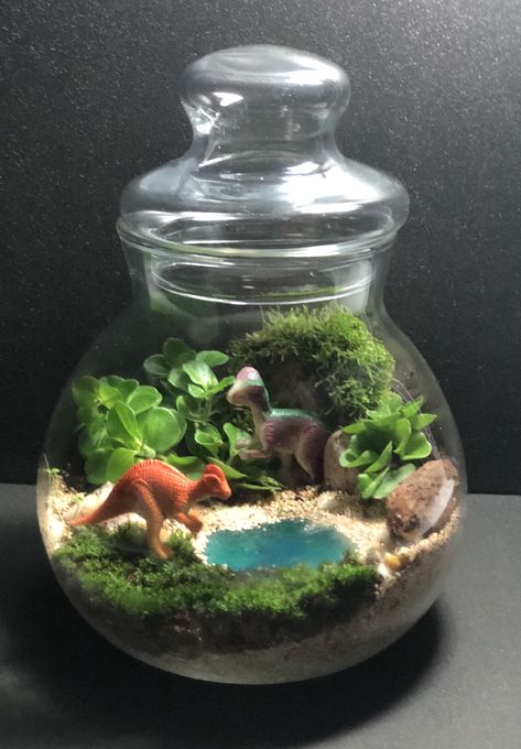 Inspired to make this after watching Jurassic World. Don’t you think the purple dinosaur looks like the intelligent dinosaur ‘the blue’ in the movie. Terrarium Plants, All About Plants, Stone Decor, Jurassic World, Hobbies And Crafts, Terrarium, Fairy Garden, Canning, Plants