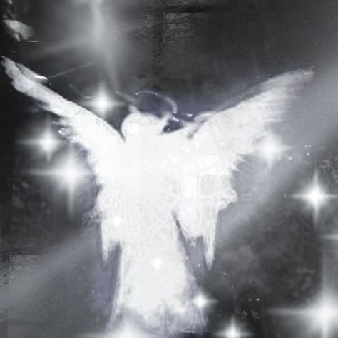 Aesthetic Angel, White Wings, Fairy Grunge, An Angel, The Light, Angel, Stars, White, Art