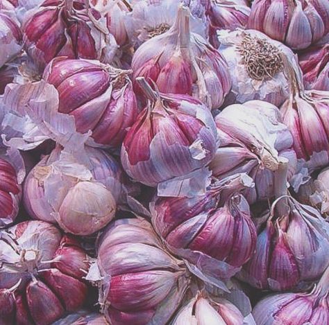 Purple Garlic, Purple Garden, Awesome Things, Fruits And Veggies, Artificial Flowers, Random Stuff, Healthy Lifestyle, Garlic, Herbs