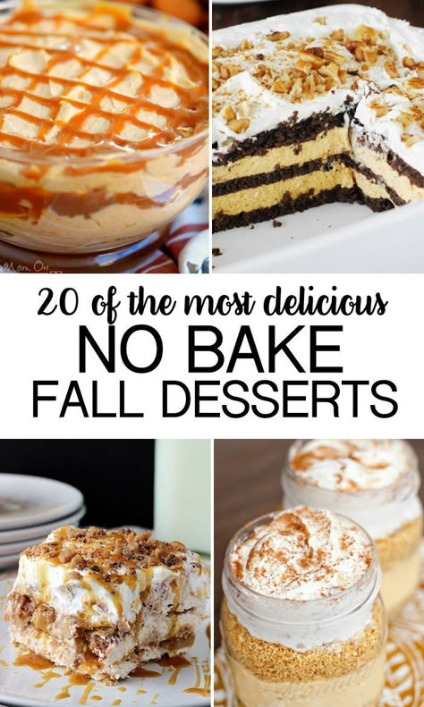 20 No Bake Fall Desserts- gathered some of the most delicious dessert recipes… No Bake Fall Desserts, Easy Fall Desserts, Different Desserts, Fall Desserts Easy, Birthday Desserts, Desserts For A Crowd, Fall Dessert Recipes, Diet Vegetarian, Baked Dessert Recipes