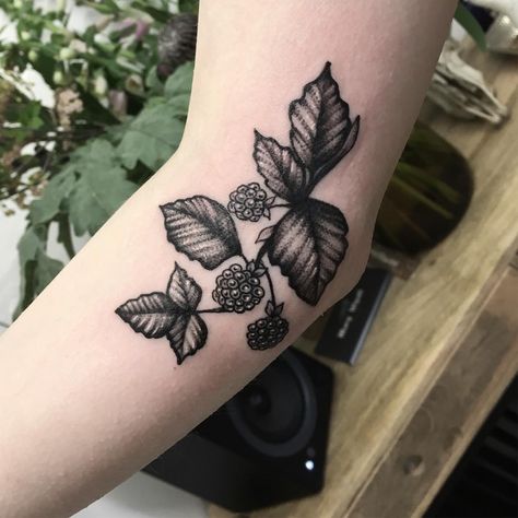 308 Likes, 3 Comments - Rebecca Vincent (@rebecca_vincent_tattoo) on Instagram: “Tiny blackberry twig” Blackberry Tree Tattoo, Bee And Blackberry Tattoo, Blackberry Branch Tattoo, Blackberry Bush Tattoo, Blackberry Plant Tattoo, Blackberry Tattoo, Celtic Tattoo Symbols, Pocket Watch Tattoos, King Tattoos