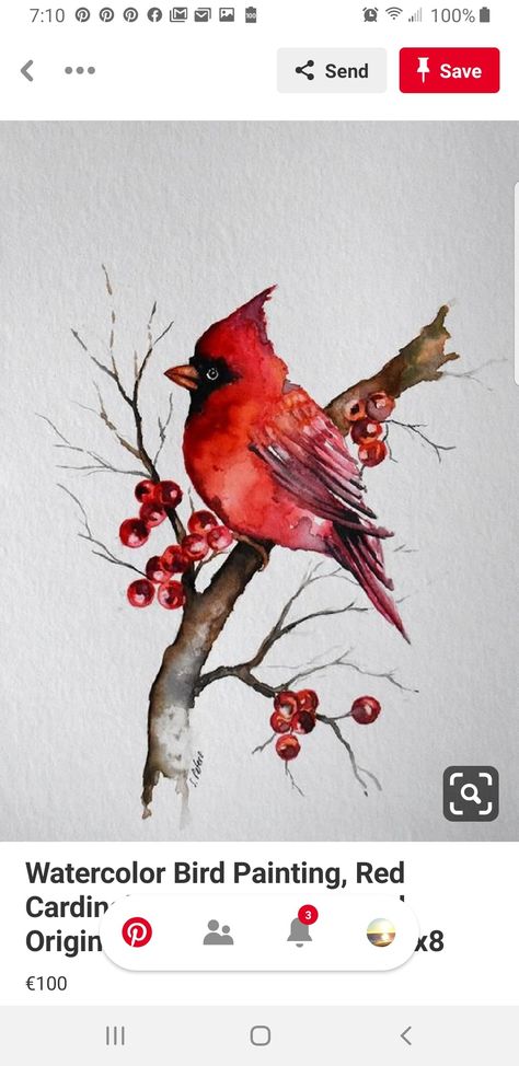 Beginner Watercolour, Karl Martens, Bookmarks Ideas, Cardinal Painting, Bird Watercolor Paintings, Bird Paintings, Artwork Inspiration, Watercolor Paintings For Beginners, Water Colours