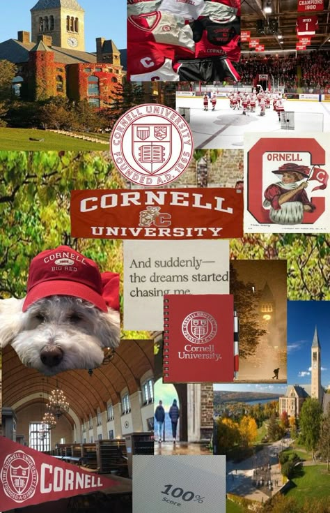 Ivy league Cornell University Aesthetic Wallpaper, Ivy College Aesthetic, Ivy League Motivation, Ivy League Wallpaper, Black Ivy League, Cornell Aesthetic, Personal Legend, Uni Motivation, Ivy League Aesthetic