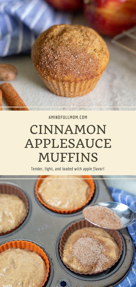 Honey Applesauce Muffins, Healthy Spice Muffins, Healthy Muffin Recipes For Diabetics, Gluten Free Applesauce Muffins Recipes, Applesauce Muffins No Egg, Whole Wheat Applesauce Muffins, Banana Apple Sauce Muffins, Apple Muffins Dairy Free, Dairy Free Cinnamon Muffins