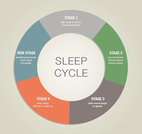 Sleep Cycle Chart, Sleep Clinic, Stages Of Sleep, Sleep Studies, Rem Sleep, Adequate Sleep, Sleep Health, Sleep Cycle, Sleeping Habits