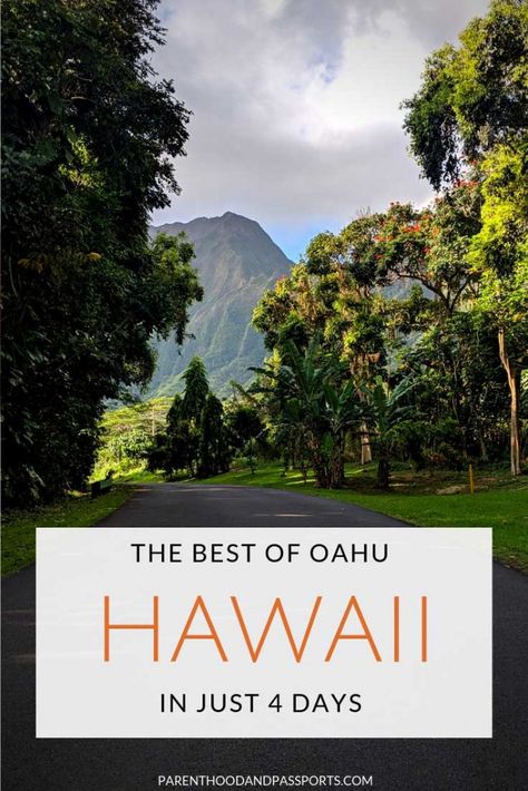 Hawaii 2023, 4 Days In Oahu, Turtle Canyon Oahu, Oahu Hawaii Waterfalls, Oahu Babymoon, Oahu Waterfall Hikes, Best Places To Stay In Oahu Hawaii, Oahu Waterfalls, Honey Moon