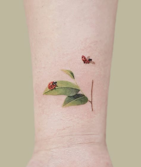 Ladybug On A Leaf Tattoo, Ladybug And Bee Tattoo, Flying Ladybug Tattoo, Ladybug And Flower Tattoo, Tiny Snail Tattoo, Fine Line Ladybug Tattoo, Lady Bird Tattoo, Dainty Ladybug Tattoo, Simbols Tattoo