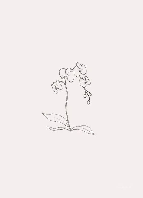 Sage Branding, Gardenia Tattoo, Orchid Flower Tattoos, Orchid Drawing, 16 Tattoo, Love Patience, Orchid Tattoo, Doodle Tattoo, Each Zodiac Sign