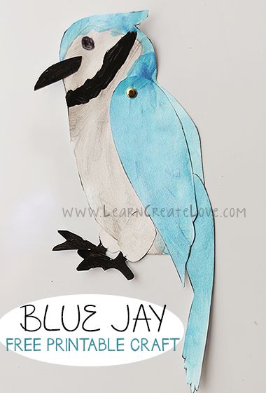 Blue Jay Printable Craft | LearnCreateLove.com Blue Bird Craft, Blue Jay Craft, Blue Jay Drawing Easy, Blue Jay Spirit Animal, Blue Jay Symbolism, Blue Jay Bird, Free Printable Crafts, K Crafts, Jay Bird