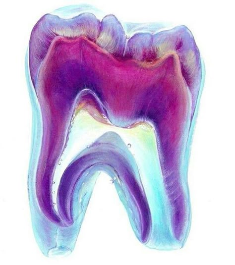 Supplyclinic.com  #Dentalart #Dentist #Art #tooth Dental Wallpaper, Dentist Art, Dental World, Dental Photography, Teeth Art, Dental Hygiene School, Dental Anatomy, Dental Fun, Dental Office Decor