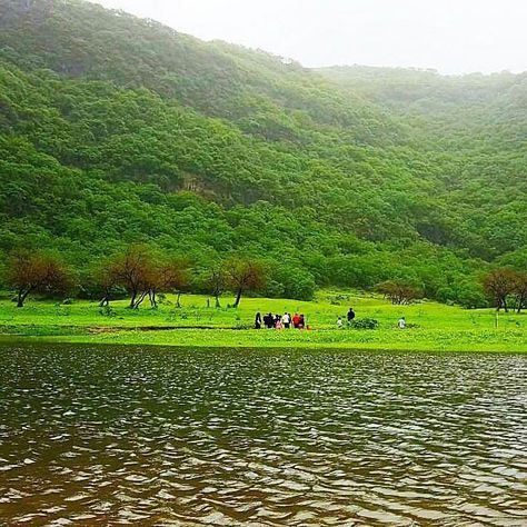 #oman #dhofar Salalah Oman Photography, Salalah Oman, Letter Art Design, Salalah, Other Countries, Drone Photography, Letter Art, Countries Of The World, Travel Bucket List