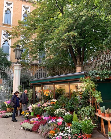 flowers, flower shop, green, pink, plants, aesthetic, italy, aesthetic shop Pink Plants, Aesthetic Italy, Plants Aesthetic, Aesthetic Shop, Italy Aesthetic, Minecraft Ideas, Bakery Cafe, Italian Summer, Flower Shop