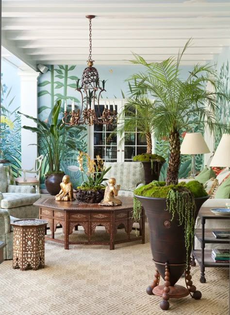 West Indies Decor, West Indies Style, Balinese Decor, Lots Of Plants, British Colonial Decor, Colonial Interior, Tropical Interior, Maximalist Home, Colonial Design