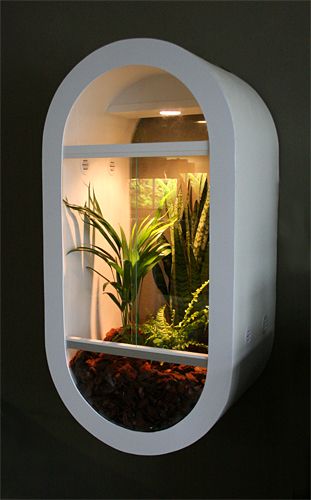 wall hanging vivarium - Awesome DIY enclosure made by BertS on Reptile Forums UK. Reptile Terrarium In Living Room, Cool Lizard Terrarium, Reptile Terrarium Furniture, Desert Terrarium Reptile, Aesthetic Snake Terrarium, Frog Vivarium, Best Fish For Aquaponics, Art Bio, Diy Reptile