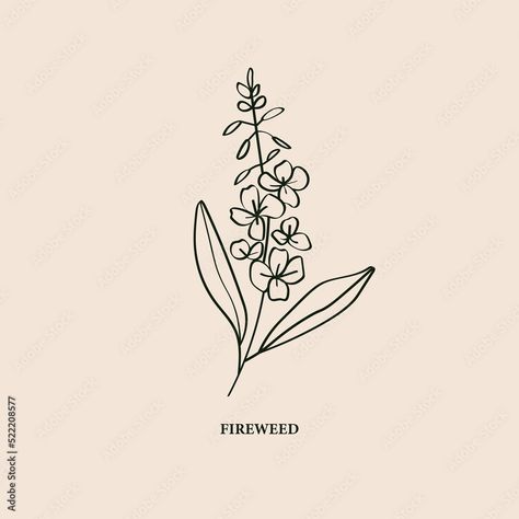 Download Line art fireweed illustration. Botanical logo Stock Vector and explore similar vectors at Adobe Stock. Fireweed Drawing, Fireweed Tattoo, River Song Costume, River Songs, Botanical Logo, Illustration Botanical, Bullet Journal Ideas Templates, Art Chair, Plant Drawing