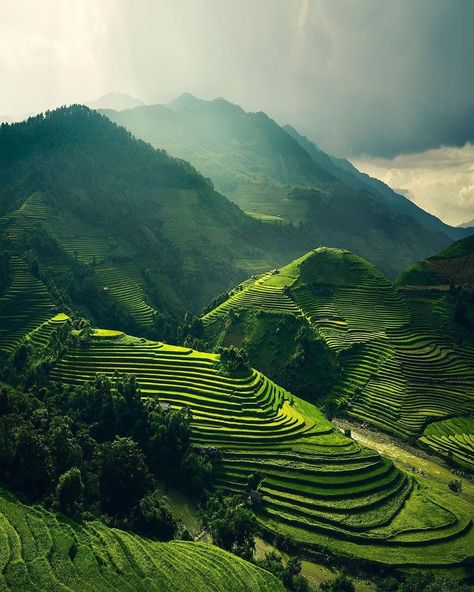 5,630 Likes, 60 Comments - LANDSCAPE & NIGHTSCAPE (@landscape_nightscape) on Instagram: “Selected: @gentianaibra • • 📷 Photography: @merveceranphoto • • • #mountains #landscape #instagood…” Buddhist Pagoda, Beautiful Vietnam, Wonderful Nature, North Vietnam, Mountains Landscape, Richest In The World, Aesthetic Picture, South China Sea, Picture Postcards