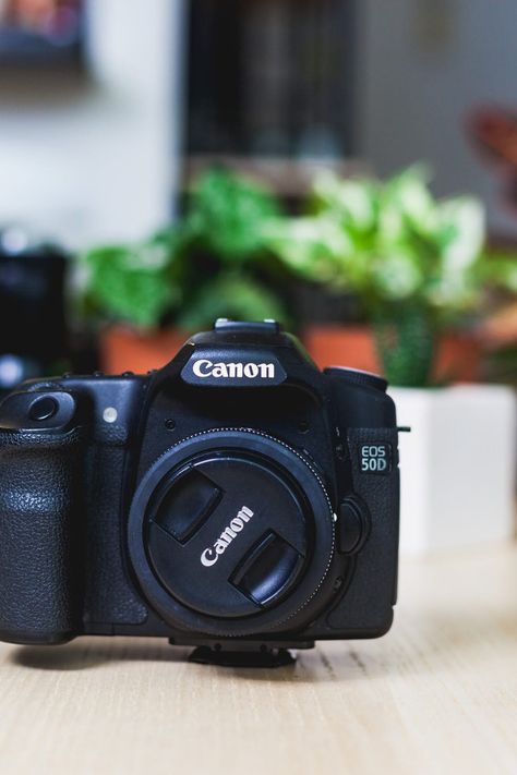 Best Camera For Beginners Photographers, Best Beginner Camera, Best Cameras For Photography Beginners, Canon Camera For Beginners, Beginner Camera, Digital Camera For Beginners, Cheap Digital Camera, Cameras For Beginners, Cameras For Photography