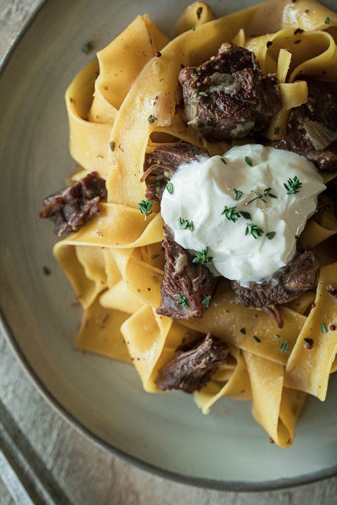 Instant Pot Short Rib Ragu, Braised Beef Short Rib Stroganoff, Short Rib Beef Stroganoff, Chuck Ribs Recipe, Short Rib Stroganoff, Beef Stroganoff Instant Pot, Dinner Staples, Instant Pot Beef Stroganoff, Beef Ragu Recipe