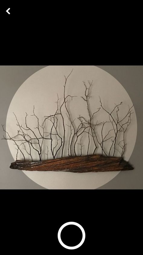 Takken Decor, Tre Kunst, Twig Crafts, Twig Art, Driftwood Projects, Driftwood Decor, Driftwood Crafts, Branch Decor, Driftwood Art