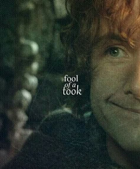 Lord of the Rings - Peregrine Took - Pippin - Hobbit - Fool of a Took Fool Of A Took Lord Of The Rings, Pippin Took Aesthetic, Pippin Took, Lord Of The Rings Pippin, Pippin Lotr, Lotr Trilogy, Concerning Hobbits, Into The West, The Shire