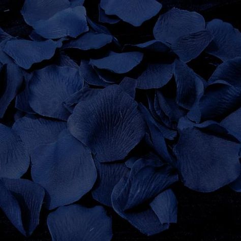 Indigo in nature Photo Bleu, Silk Rose Petals, Plum Wedding, Azul Indigo, Plum Flowers, Naha, Feeling Blue, Silk Roses, Love Blue