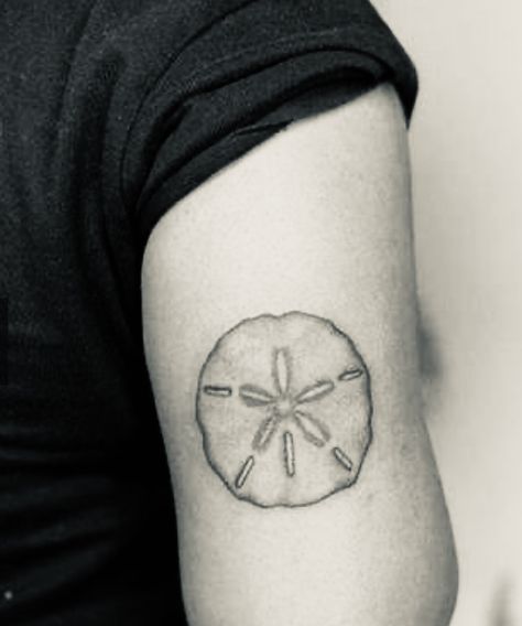 Dainty Sand Dollar Tattoo, Fine Line Sand Dollar Tattoo, Sand Dollar Tattoo, Dollar Tattoo, Ocean Tattoos, Tattoos Henna, Sand Dollar, My Tattoo, Tattoo You