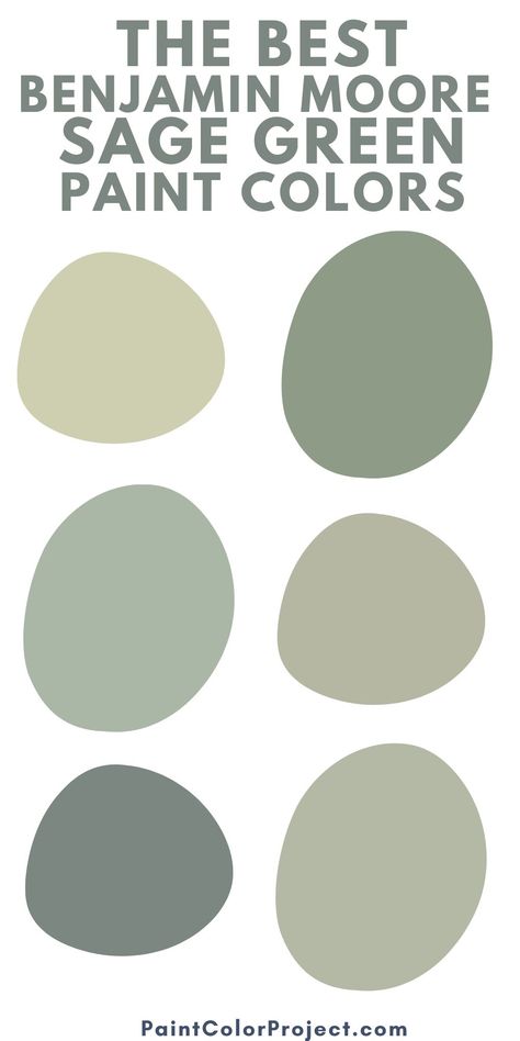 Love the color sage green? Here are the best benjamin moore sage green paint colors to use in your home! Money Moves Paint Color, Benjamin Moore Muted Green, Benjamin Moore Sage Green Colors Bedroom, Benjamin Moore Sage Green Colors Kitchen, Benjamin Moore Hillside Green, Benjamin Moore Galapagos Green, Light Green Bedroom Walls Paint Colors Benjamin Moore, 2023 Green Paint Colors, Seedling Benjamin Moore